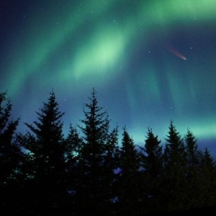 Want to get paid to watch the Northern Lights?